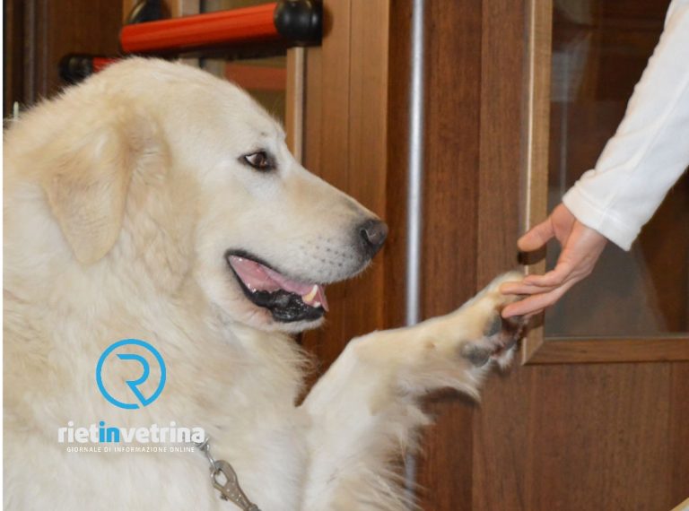 “Microchip Day”, a breve a Rieti