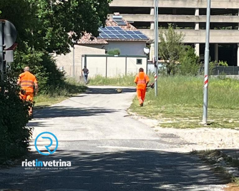 Cittaducale, dopo segnalazione avvenuto sfalcio dell’erba: “Grazie Rietinvetrina!”