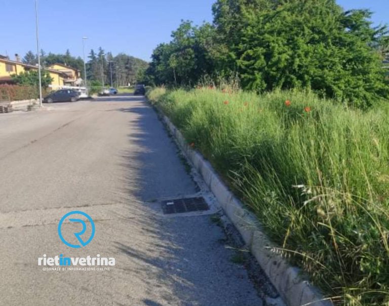SEI TU IL REPORTER – “Via Cerafogli è dimenticata. Siamo pieni di erba alta e serpenti”
