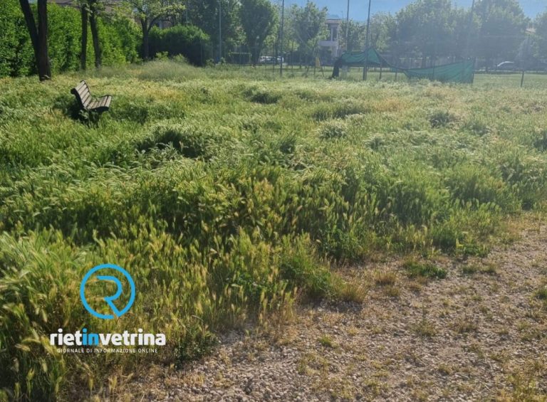 SEI TU IL REPORTER – “Nel quartiere Micioccoli ci intimano di non portare i nostri cani a spasso e in altre zone l’erba è altissima”