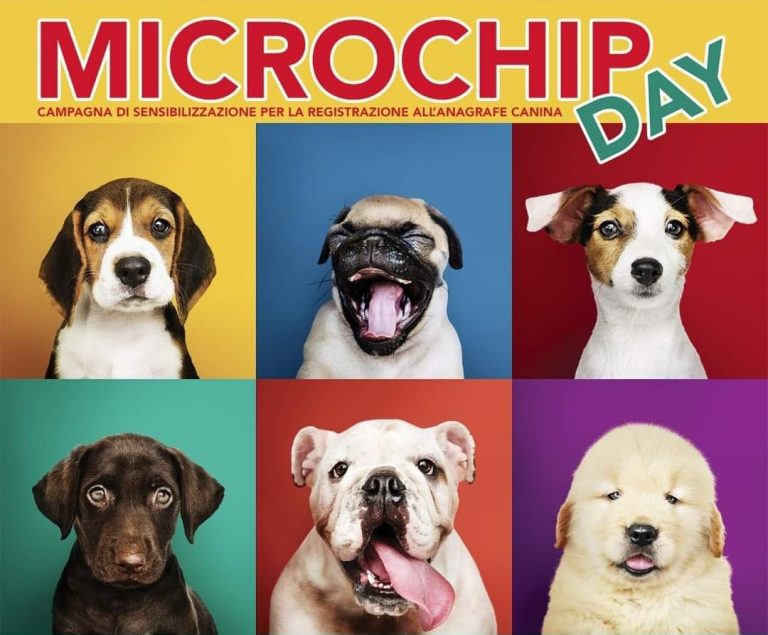 Sabato 28 maggio a Rieti “Microchip Day”