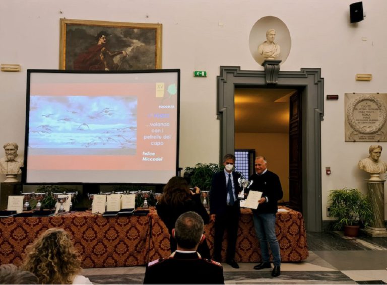 Al fotografo reatino Felice Miccadei il prestigioso premio “Alberoandronico”