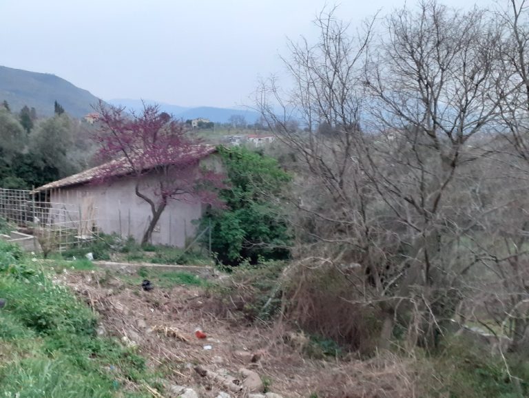 Prosegue la rigenerazione urbana dell’Anfiteatro di Montegrottone (Fara in Sabina)