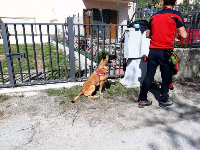 Cani morti a Borbona, sopralluogo del Nucleo Cinofilo Antiveleni Reparto Carabinieri Parco di Assergi