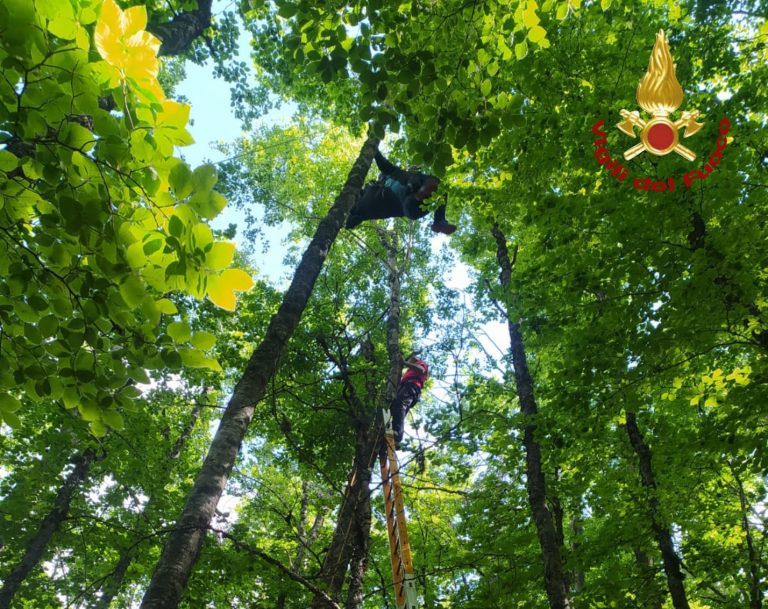 Pompieri intervengono sul Terminillo per soccorrere un pilota di parapendio