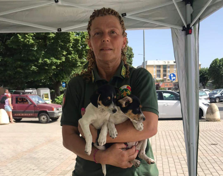 “Microchip Day”, il 4 giugno tanti i microchip applicati a cani sprovvisti