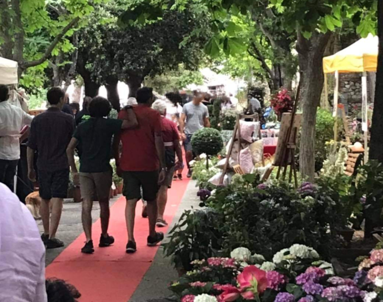 Numeri importanti per “Passeggiando tra le Rose”. Cuneo: “Evento che continua a richiamare turisti”