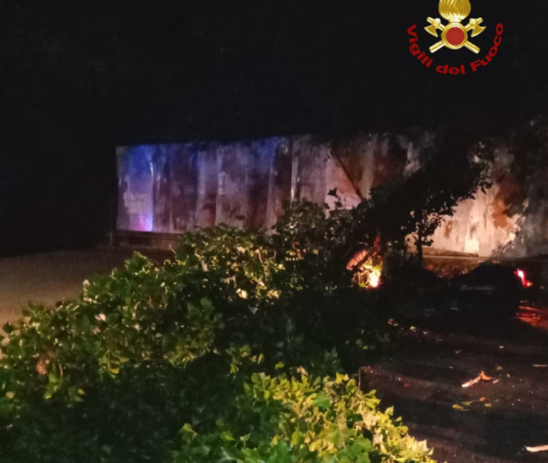 Albero cade in strada a Poggio Mirteto, intervengono i Vigili del Fuoco