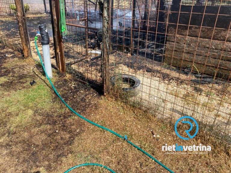 Tragedia al Rifugio di Fiocco. Cagnolina muore in un incendio