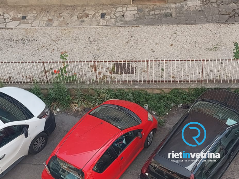 SEI TU IL REPORTER – “Via dei Salici versa nell’incuria, tra bottiglie ed erba alta”