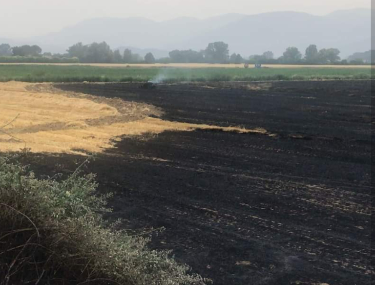 Incendio sulla via Ternana