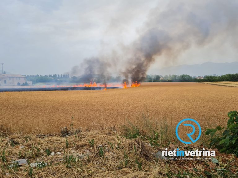 Vasto incendio a Piani Poggio Fidoni. Fiamme vicine alle abitazioni