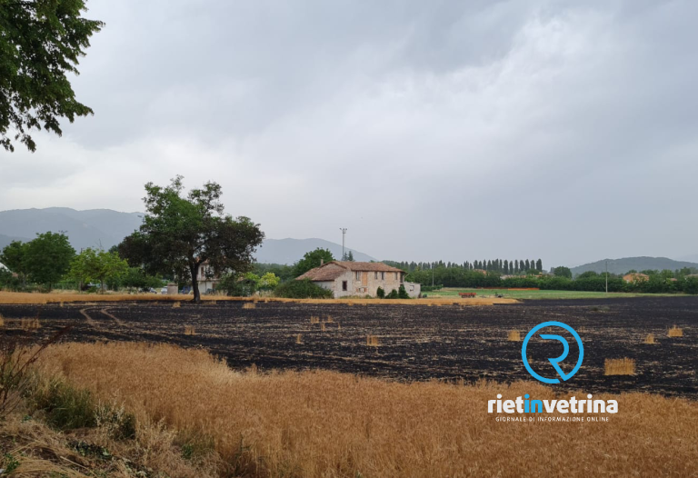 Incendio Piani Poggio Fidoni, fiamme domate. In fumo quintali di grano