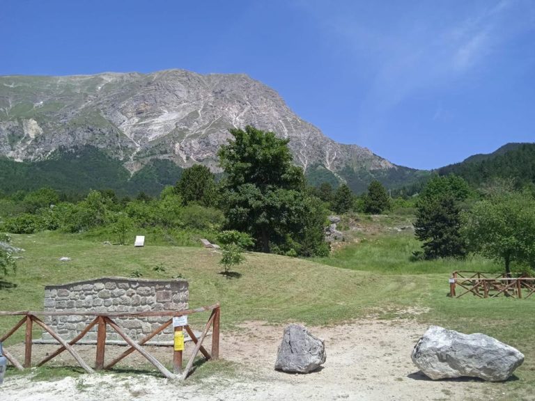 Grazie al “Run delle Valli 2021” completata l’area pic-nic a “La vecchia Fornace” di Pretare (Arquata del Tronto)