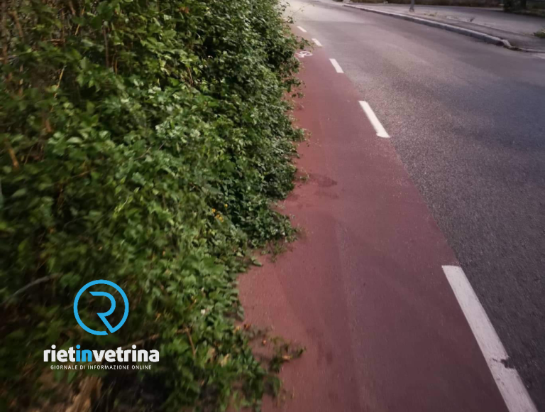 SEI TU IL REPORTER – “La pista ciclabile di via Micioccoli è invasa dall’erba”
