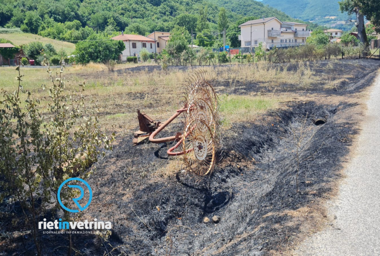 Quel che resta dei campi andati in fumo il 5 luglio a Piani Poggio Fidoni