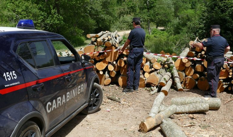 Corvaro, abbattono irregolarmente oltre 10.000 mq. di faggeta. Denunciati dai Carabinieri