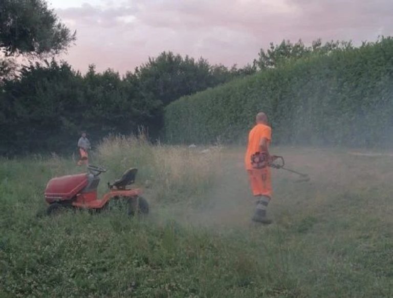 Giornata Verde ASM, sabato 10 maggio appuntamento al Foro Boario