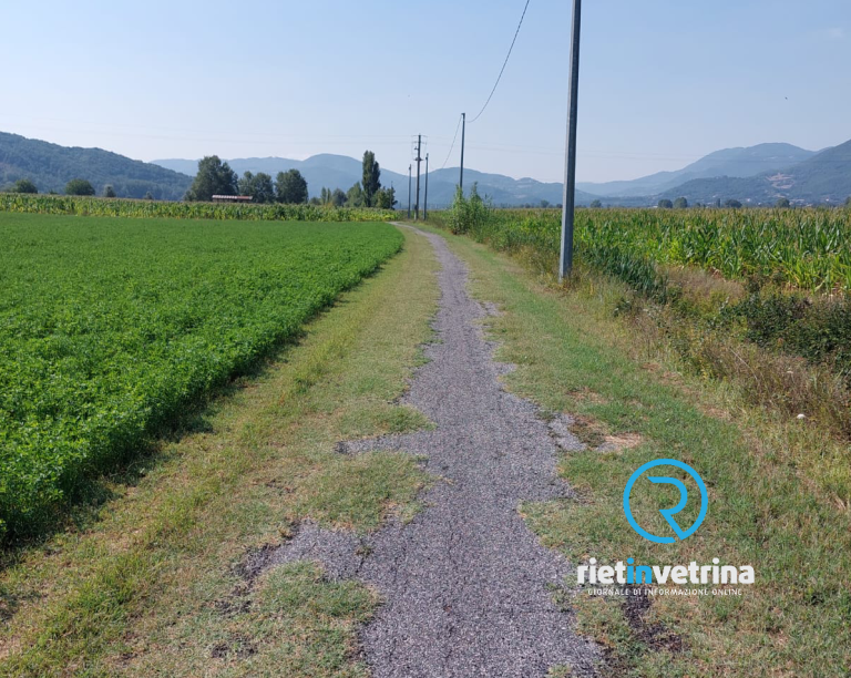 SEI TU IL REPORTER – “La pista ciclabile di Terria è mangiata dall’erba “
