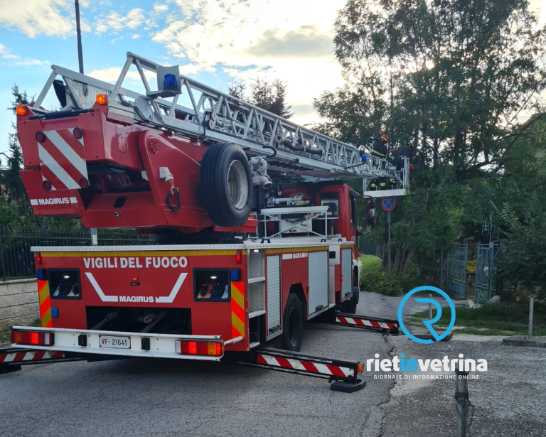 Pianta pericolante a Larghetto di Piani Poggio Fidoni. Sul posto Protezione Civile e VVF