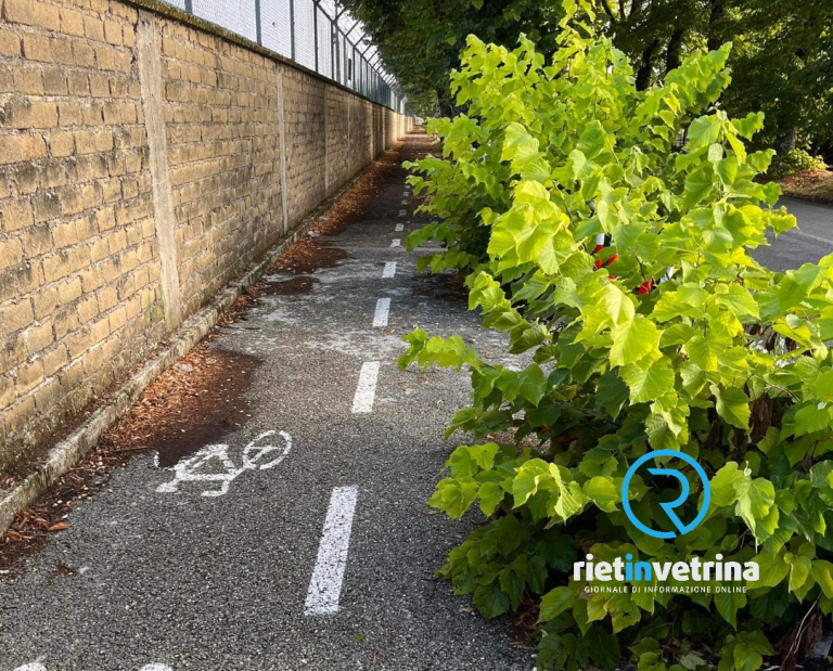 SEI TU IL REPORTER – “Appello per una bonifica della pista ciclabile zona via Dentato”
