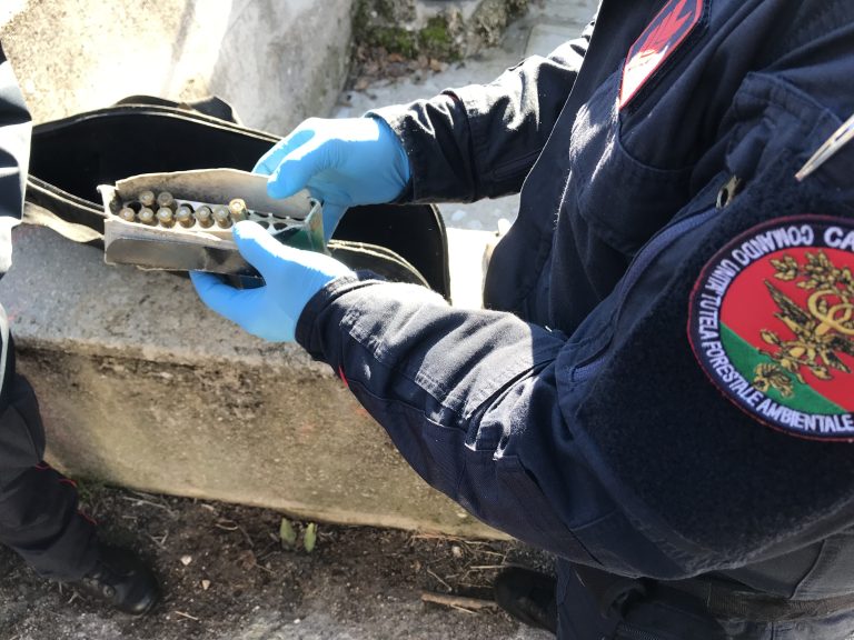 Bracconaggio, Carabinieri sequestrano munizioni e armi detenute abusivamente