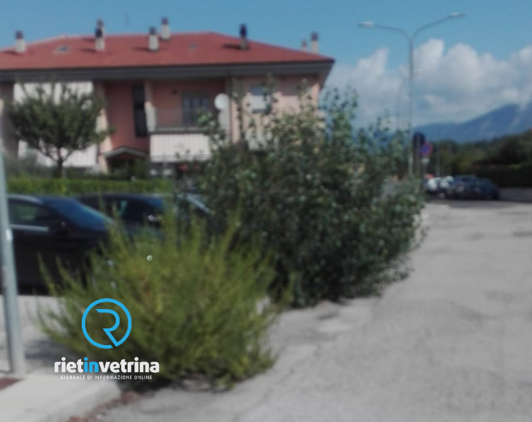 SEI TU IL REPORTER – “In via Tosti c’è stata la trasformazione da erbacce ad alberi”