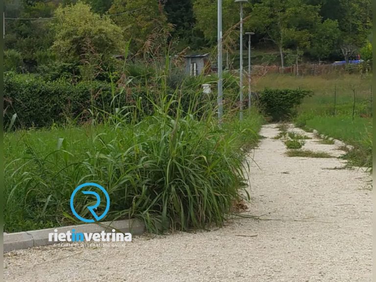 SEI TU IL REPORTER – “Potete tagliare l’erba al parco di via Barsanti?”