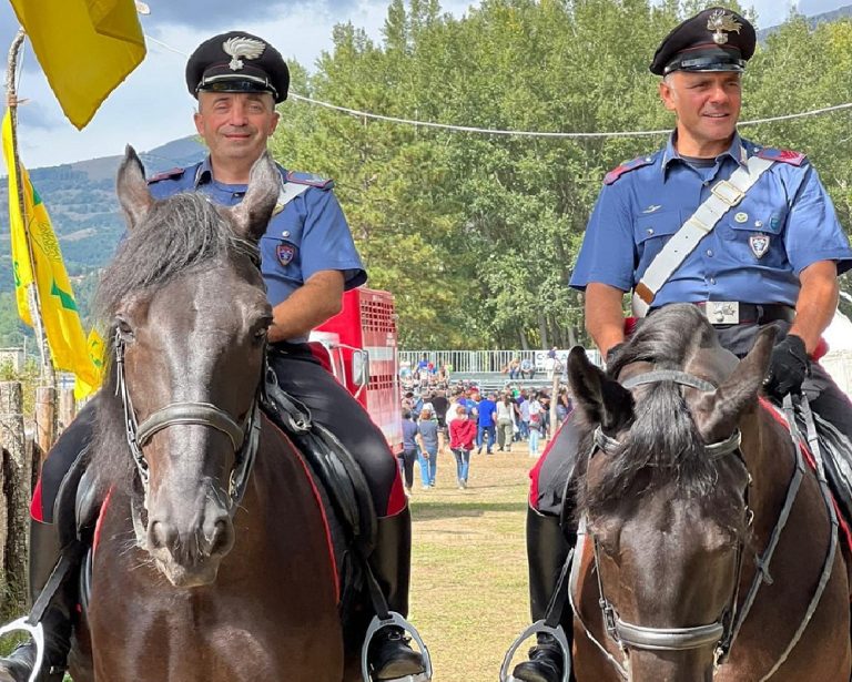 Cittareale, anche nel 2022 i Carabinieri presenti con i propri esemplari alla Festa dei Cavalli
