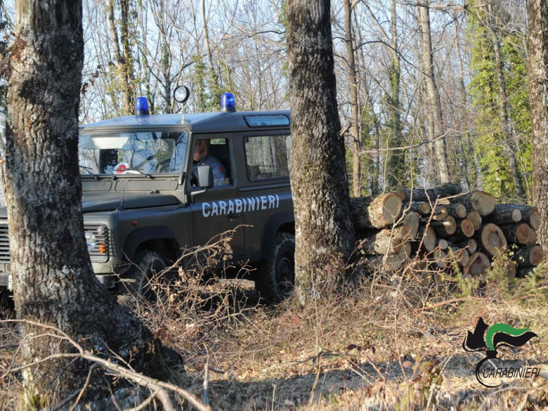 Caso Silvia Cipriani, rinvenuto nel bosco lo specchietto dell’auto