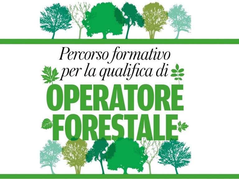 Percorso formativo per acquisire la qualifica di operatore forestale