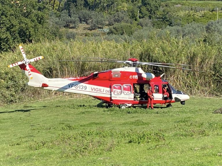 Vigili del Fuoco intervengono a Poggio Catino per recuperare una carcassa di cavallo