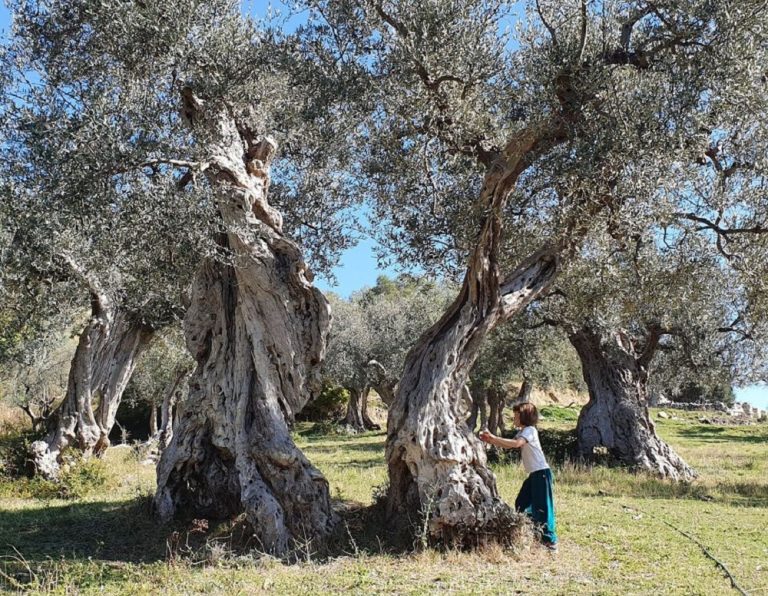 Mompeo, tra archeologia ed ulivi millenari. Il 30 ottobre in programma una camminata speciale