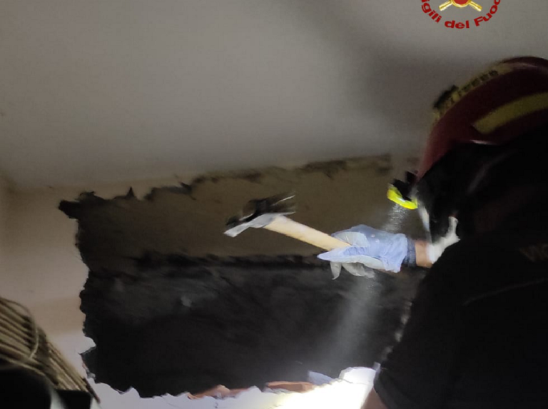 Vigili del Fuoco salvano gattino incastrato in un tubo dell’areazione
