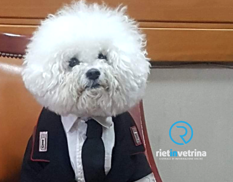 Addio Leo, dolce carabiniere a quattro zampe