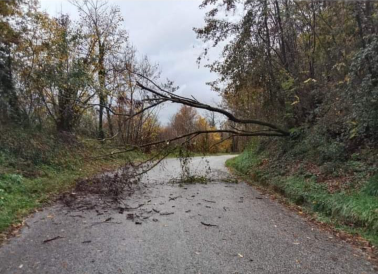 Maltempo, strada Fiumata-Pace interrotta per caduta rami