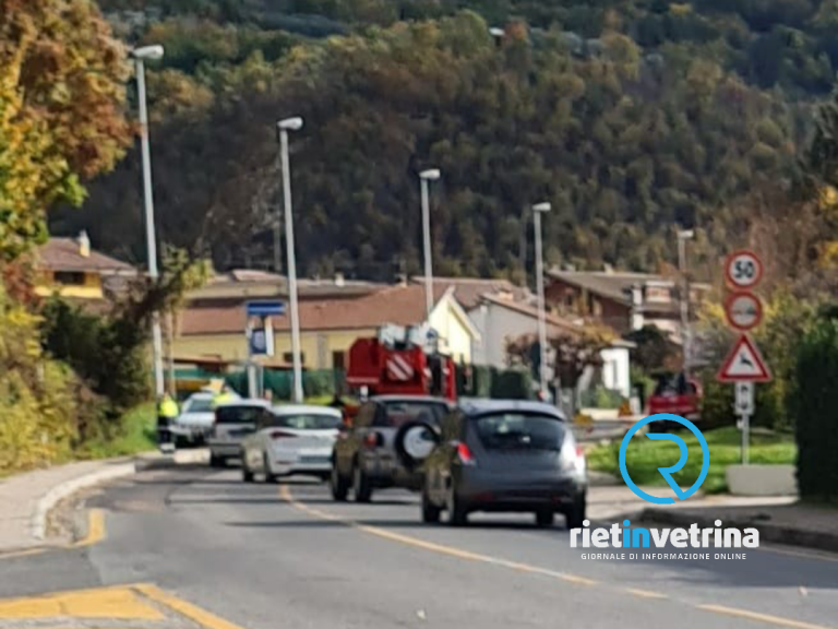 Albero pericolante sulla Salaria nei pressi di Santa Rufina. Intervengono i Pompieri