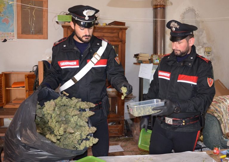 Toffia, arrestato 50enne per coltivazione di droga. Trovato con 29 chili di marijuana