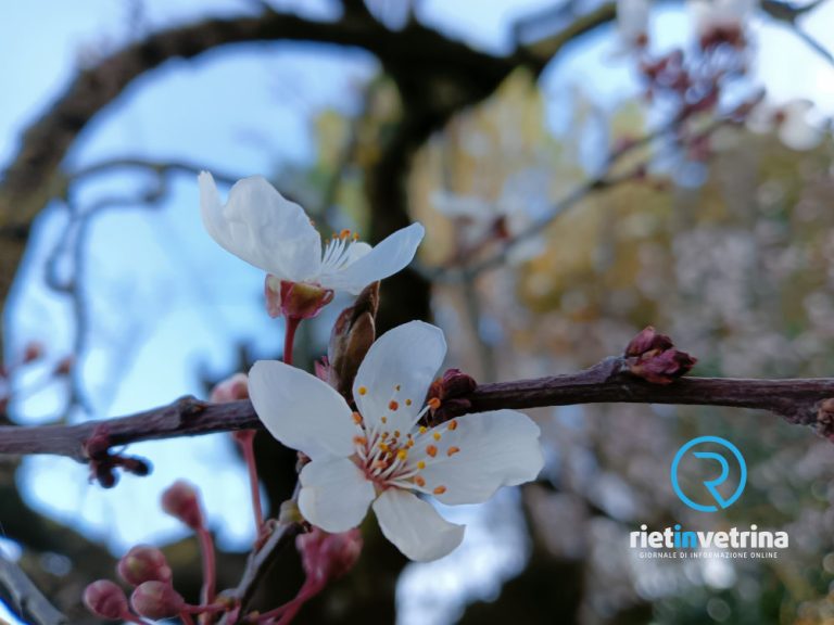 Retake organizza la passeggiata ecologica “Benvenuta Primavera!”