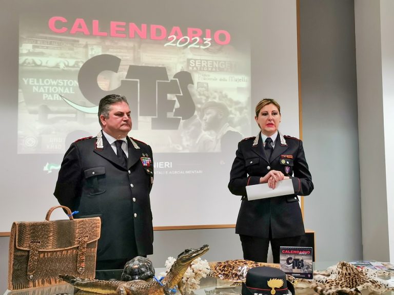 Presentato il Calendario 2023 dell’Arma Carabinieri Forestale: “La CITES e le aree protette nel mondo”