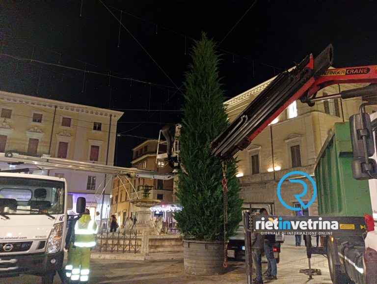 Rieti, installato l’albero di Natale per le festività 2022. L’8 dicembre accensione luminarie