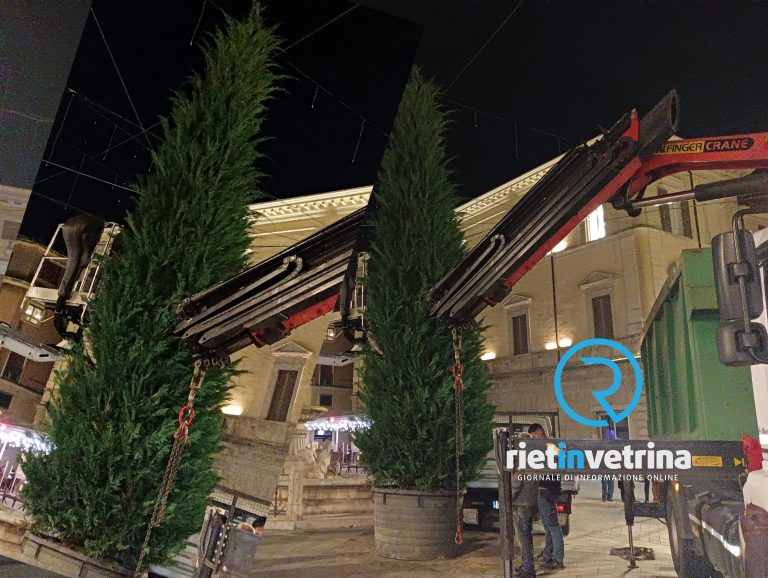 Il Rotary Club Rieti dona l’abete di piazza Vittorio Emanuele II