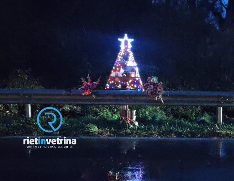 Un albero di Natale per ricordare il papà morto in un incidente