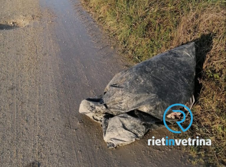 SEI TU IL REPORTER – “Rifiuti abbandonati nella Piana Reatina”