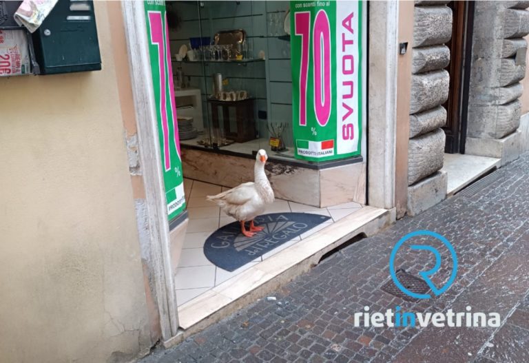 Anche i “paparoni” approfittano dei saldi in via Roma