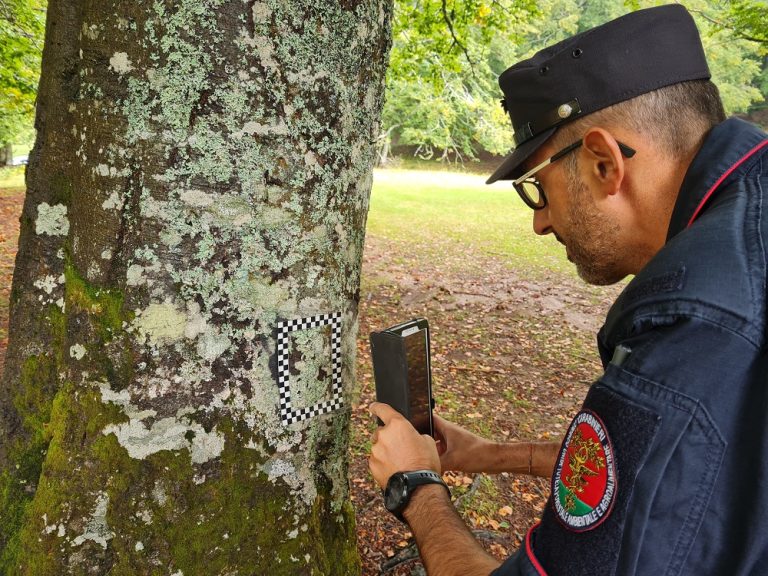 Monitoraggio e tutela dei boschi. L’attività dei Carabinieri Forestale