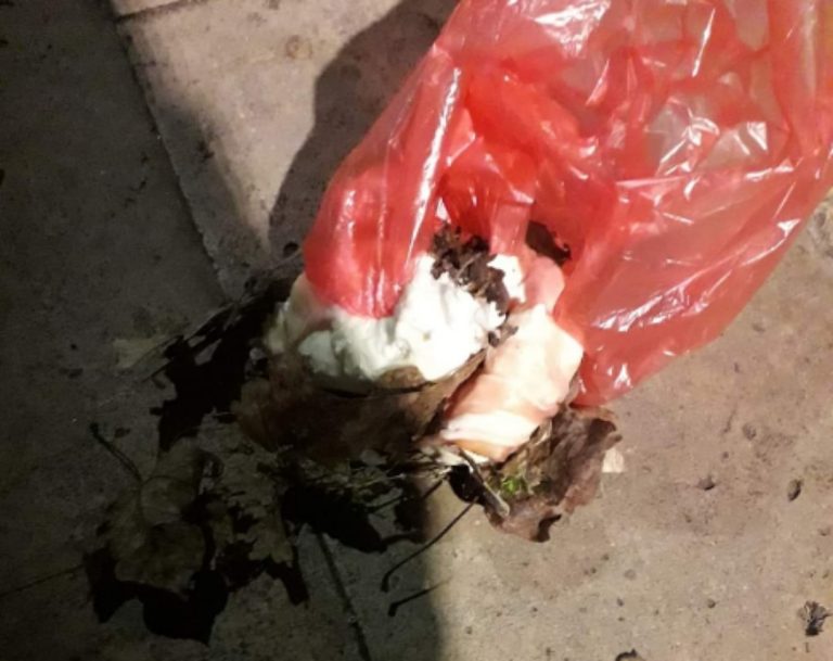 Bocconi sospetti vicino al centro storico di Rieti