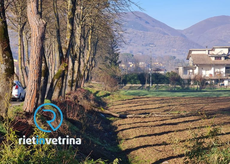 SEI TU IL REPORTER – “Dopo i lavori all’acquedotto di Piani Poggio Fidoni cadono troppi alberi”