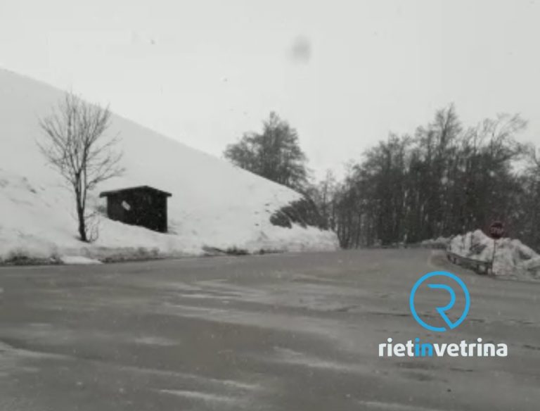 ►VIDEO – Nuova nevicata a Campoforogna (26 febbraio 2023)