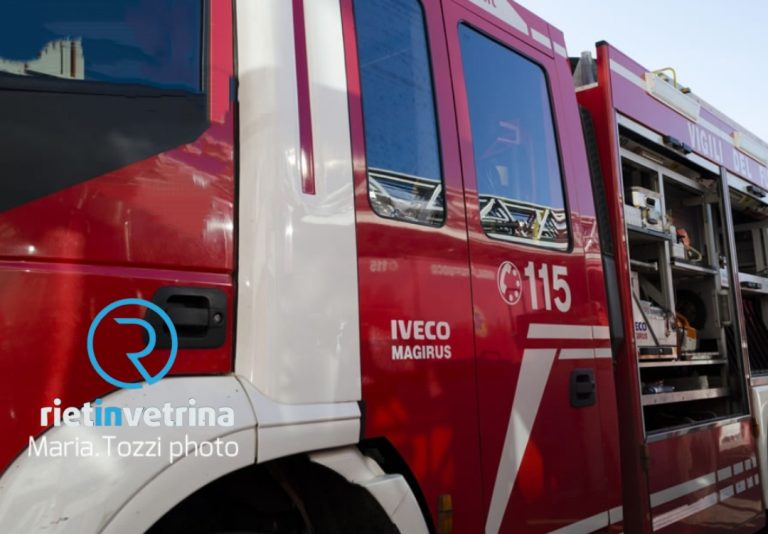 Maltempo, albero caduto sulla Turanense